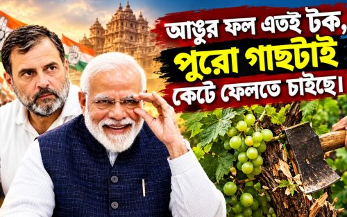 আঙুর ফল এতই টক, পুরো গাছটাই কেটে ফেলতে চাইছে।
